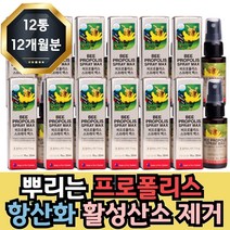 프리미엄 대용량 프로폴리스 BEEPROPOLIS 목에 뿌리는 스프레이 항산화 도움 환절기 추천 건조할때 칼칼할때 간질간질할때, 30ml개입 12개 12개월분, 1개