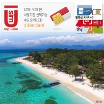 탑유심(ASIA) AIS True 인도네시아 유심 4G LTE 데이터무제한, 탑유심(ASIA) 4G 05일 데이터무제한, 1개
