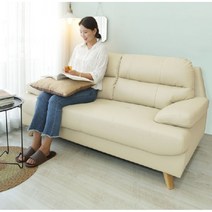 원룸투룸 좁은거실용 북유럽 2.5인용 가죽소파(2컬러) 클래식 푹신한 좋은, 다크그레이