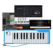 Arturia MicroLab 25키 USB MIDI 키보드 컨트롤러 603656, Blue