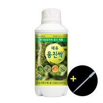 대유 응진싹 500ml + 스포이드 화분 화초 수도작 텃밭 응애 고추진딧물 온실가루이약 퇴치 천연해충제거제