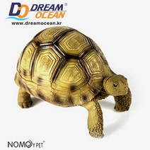 노모이펫 헤만스-거북이피규어 거북이인형 어항장식 피규어, 단품