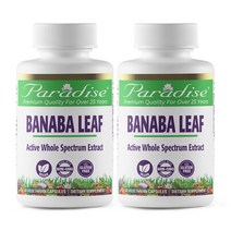 파라다이스허브 고용량 바나바잎 추출물 코로솔산 고약사 250mg 60캡슐 2개월분 2통, 60정 [특별할인 1+1]