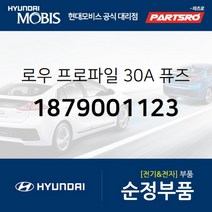로우 프로파일 30A 퓨즈 (1879001123) 현대모비스 부품몰 벨로스터 쏘나타YF 엑센트 제네시스 G70