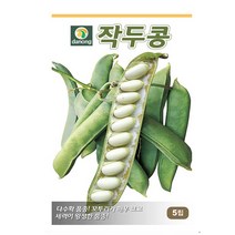 다-작두콩 5립 콩씨 콩종자 콩씨앗