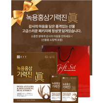 [종근당 1+1] 녹용홍삼 기력진 70ml*30포 2상자+선물쇼핑백 2개