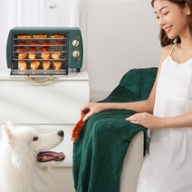 음식 식품 건조기 야채 과일 말리는 기계 강아지 간식, 그린