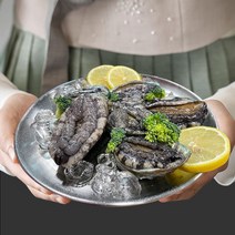 완도 산지직송 활 전복 1kg 자연산 6미-60미 국산 양식, 선택06. 완도 활 전복 1kg (20~22미)