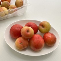 5월부터 새콤달콤한 하우스 대석자두, 대과, 500g, 1개