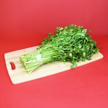 기찬꾸러미농산물 국내산 세척 미나리 500g 1kg