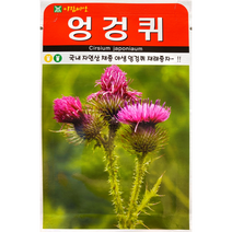 아람종묘 엉겅퀴씨앗 100립, 1개