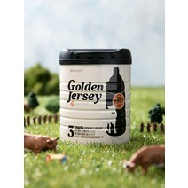 아이배냇 골든저지 GF 유아식 3단계 800g 6개월~12개월 426474, 1개