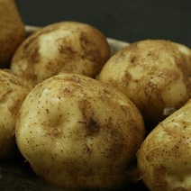 2021햇감자 햇감자 감자 농수산물, 1박스, 특대_10kg