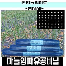 농자재-양파마늘유공비닐/양파비닐/마늘비닐/농업용유공멀칭비닐/텃밭/흑색/비니루, 0.015X120X200흑10구(마늘용외)
