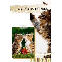 (영문도서) Cat Fit as а Fiddle: GET tо TROUBLESHOOTING Paperback, Independently Published, English, 9798531997395