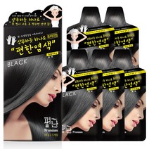 바람 BARAM ) 편한염색 간편 뿌리 흰머리 새치 펴난염색 샴푸염색약 한방염색약 (5매 구매시 마스크 증정), 블랙, 5매