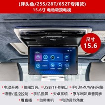 차량용 모니터 지붕받이 튜닝 리모컨 뒷자석 스크린, 지방머리물고기25S/652T15.6인치전용TV