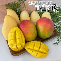 과일엔 프리미엄 고당도 애플망고 태국망고 골드 무지개 망고 모음, 태국 남독마이 골드망고, 1.5KG 내외 3~4입