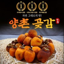 가정용 이메골 양촌곶감 반건조 곶감 영양간식, 실속형