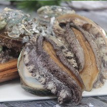 완도친구 [더싱싱포장 손질칼증정] 참전복 ~20미 1kg 선물 가정용 1개