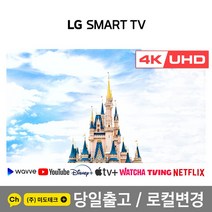 LG 65인치 최신형 4K UHD 스마트 TV 65UP8000 리퍼브 /, 1. 수도권역 스탠드 +HDMI 2.0