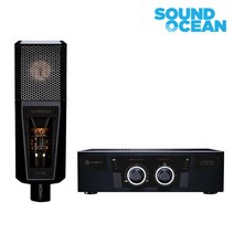르윗 레코딩용 마이크 블랙, LCT 940