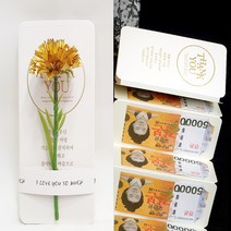 영하우스 용돈봉투 부모님 생일 용돈이벤트 프리미엄 용돈 선물 병풍 돈봉투, 프리미엄용돈봉투+1개