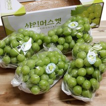 김천 샤인머스켓 고당도, 샤인머스켓 2kg 3-4수