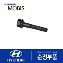 인젝터 클램프 볼트 (338164A700) 쏠라티 쏠라티 특장 E마이티NARROW E마이티 특장NARROW 포터2 포