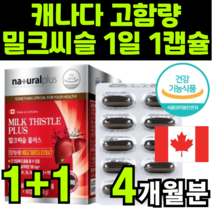 캐나다 케나다 SILYMARIN MILKTHISTLE EXTRACT 밀크시술 실리마린 밀크씨슬 익스트랙트 추출물 고함량 최대함량 건강 기능 보조 식품 보충제 보조제 추천, 2박스(4개월분)