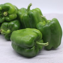 가락시장 청피망 10kg (국내산), 단품