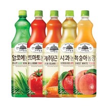 핫딜 과일음료 가야농장 1.5L 5종, 1500ml