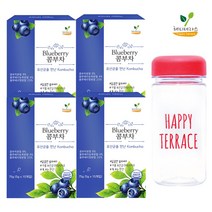 해피테라스 특허받은 콤부차 블루베리 4박스 + 전용보틀
