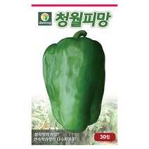 해피찰3호 옥수수 70립 - 씨 씨앗 찰옥수수 찰옥수수씨 찰옥수수씨앗 옥수수씨앗 흰색찰옥수수 채소씨 채소씨앗, 04_다농_청월 피망(30립)