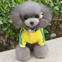 펫리 츄리닝 강아지 트레이닝복 올인원 강아지옷, 레드