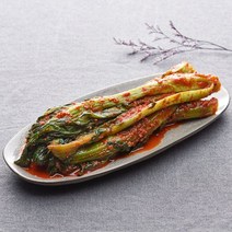 [KT알파쇼핑]반장마켓 여수노반장 돌산갓김치 2.5kg 국내산 외 별미김치, 김치:파김치 1kg
