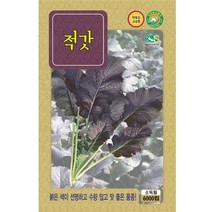 적갓 씨앗 6000립, 적갓  6000립