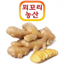 꾀꼬리농산 햇생강 봉동 깐생강 3kg 생강효능 담금주 담금주키트 생강청만들기 야관문주 칵테일키트 홈칵테, 1개, 상세페이지 참조