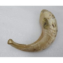 Holylandmarket Shofars 쇼파르 양각나팔 램 호른 9 12인치 이스라엘