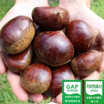 2022년 공주 정안밤 대 2kg 4kg 공주밤 알밤 햇밤 산지직송 GAP인증, 특 2kg