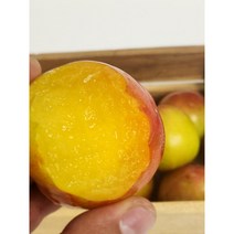 하우스 대석 자두 왕자두 생자두 김천 500g 1kg CS생활건강, 500g(70g이상), 1개