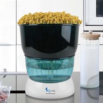 청시루 콩나물재배기 공장직영 SC-9000A