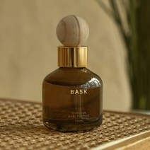 BASK 듀얼퍼포즈 실내겸용 차량용 디퓨저 100ml 본품, 듀온더페탈, 1개