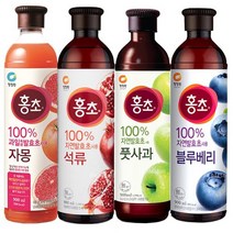 청정원 홍초 자몽1+석류1+풋사과1+블루베리1 900ml