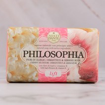 네스티단테 필라소피아 리프트 천연 비누 250g, 1개