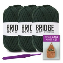 [니뜨] 2022 브릿지(80g)x3볼+브릿지뉴행잉바스켓도안+후르츠모사용코바늘8/0호, 228(다크그린)