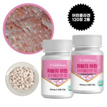 흡수율 좋은 저분자 어린콜라겐 정 어류 물고기 생선 비늘 피쉬콜라겐 히알루론산 엘라스틴 함유, 2통, 120정