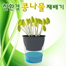 21세기과학상사 콩나물기르기 콩나물키우기(5인용)