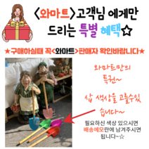 노부부 베란다 텃밭 꽃밭정원 인테리어 전원 주택 인테리어 가든 카페 장식 정원 야외, 어머니