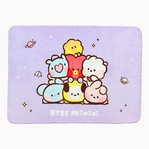 BT21 미니니 플란넬 담요